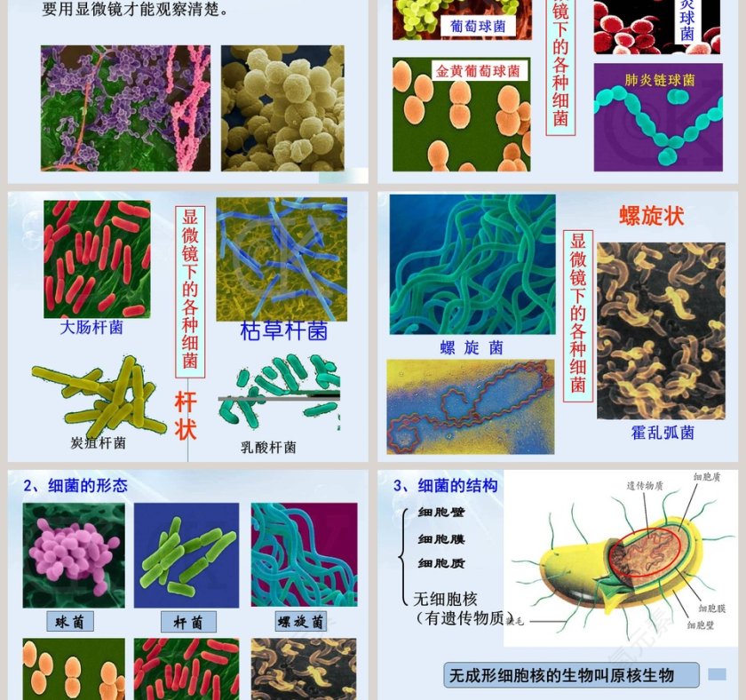 第-6教学ppt课件第3张