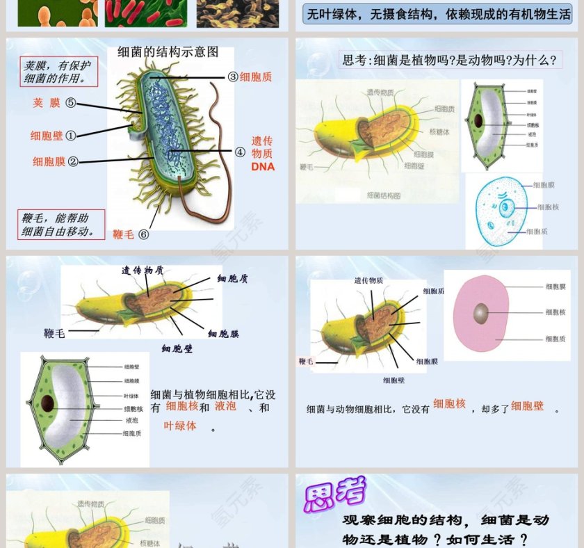 第-6教学ppt课件第4张