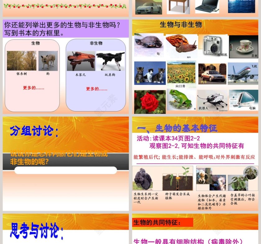 观察生物-第教学ppt课件第2张