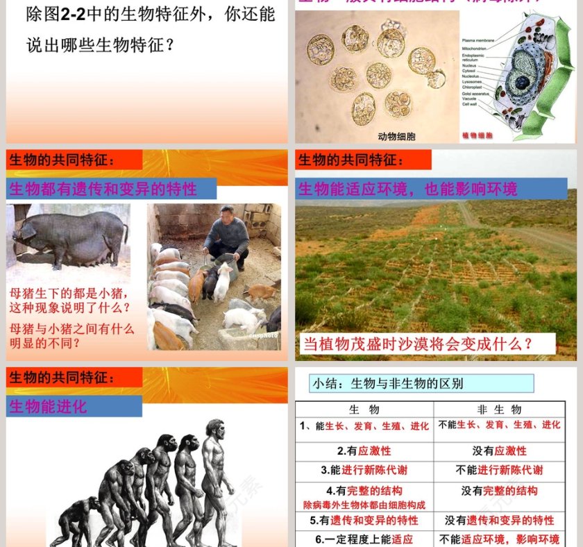 观察生物-第教学ppt课件第3张