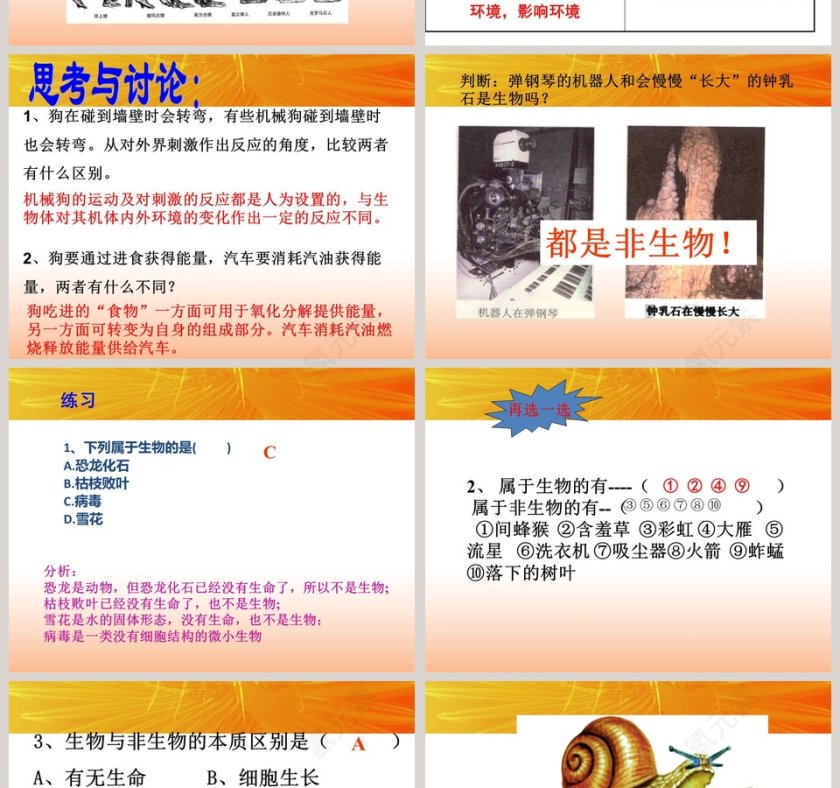 观察生物-第教学ppt课件第4张