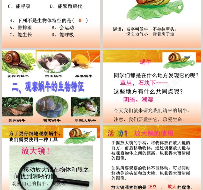 观察生物-第教学ppt课件第5张