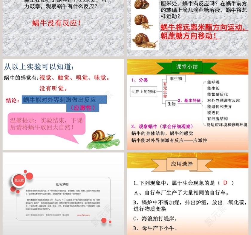 观察生物-第教学ppt课件第7张