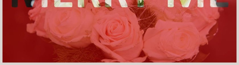 陪伴是最长情的告白婚礼快闪PPT模板第5张