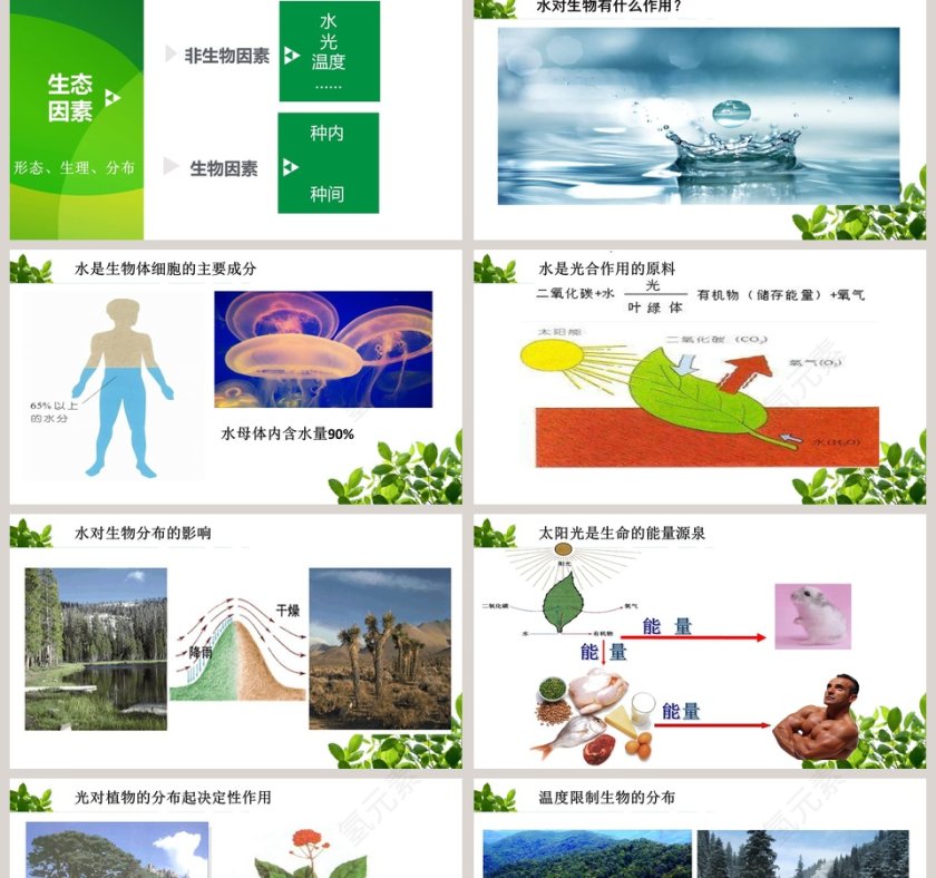 生态系统及其稳定性-生物的生存依赖一定的环境教学ppt课件第2张