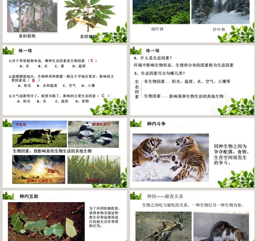 生态系统及其稳定性-生物的生存依赖一定的环境教学ppt课件第3张