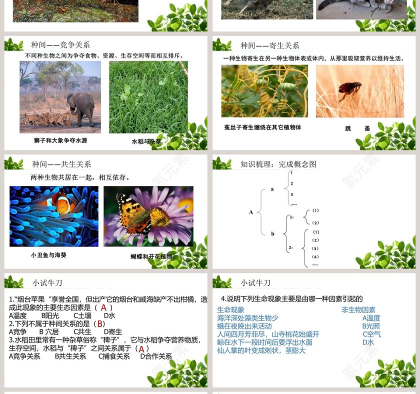 生态系统及其稳定性-生物的生存依赖一定的环境教学ppt课件第4张
