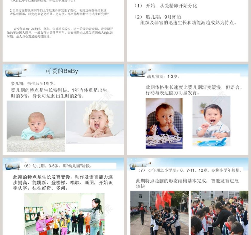 人的一生青岛版五年级科学下册PPT模板大全第3张