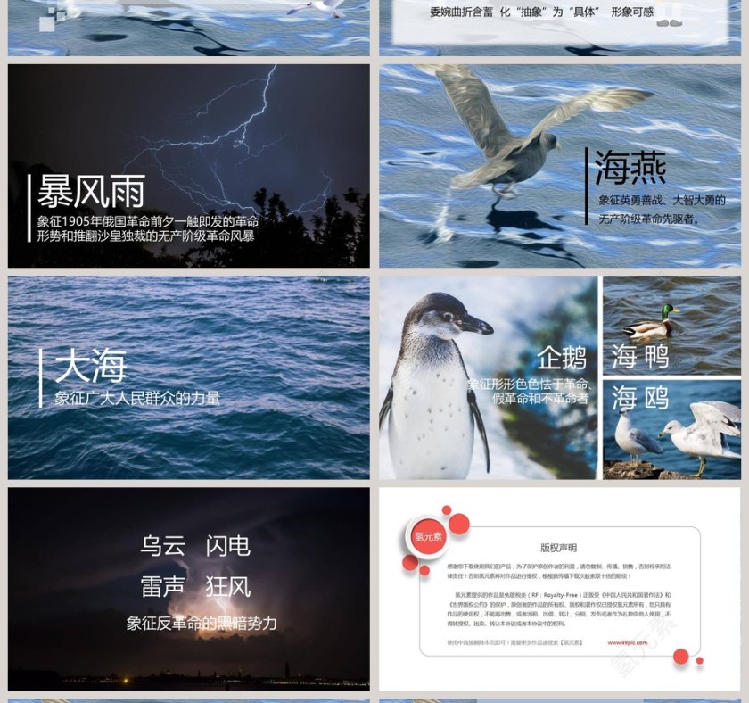 课文解析部编版八年级语文下册海燕语文课件PPT第4张