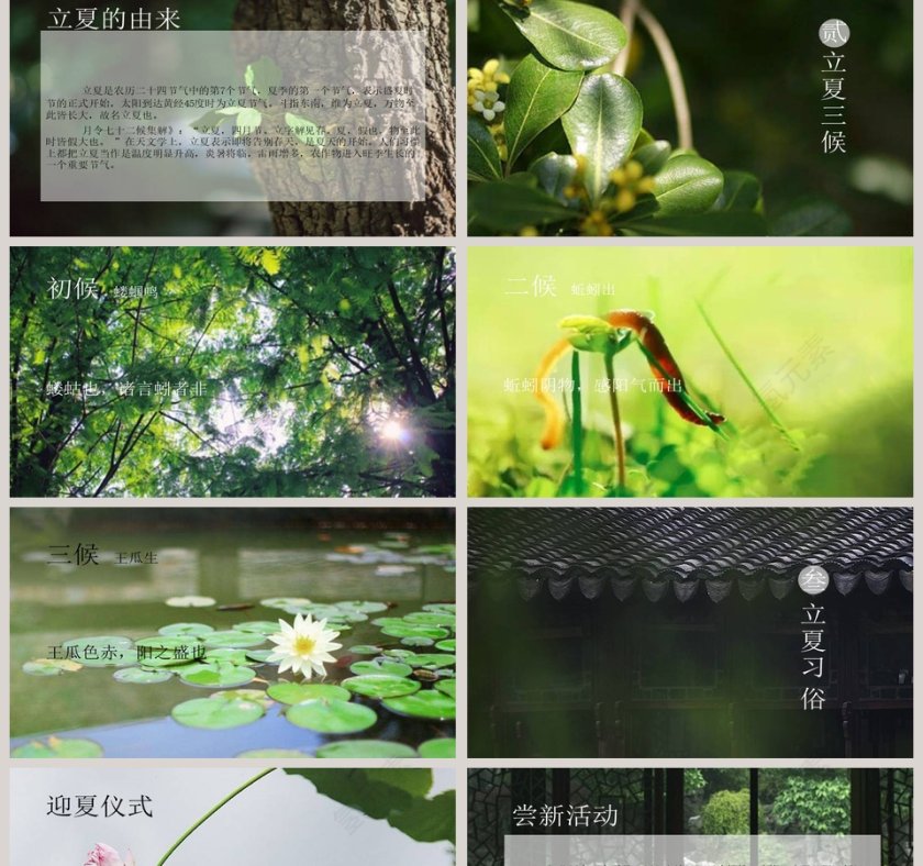 传统节气之立夏PPT模板 第2张