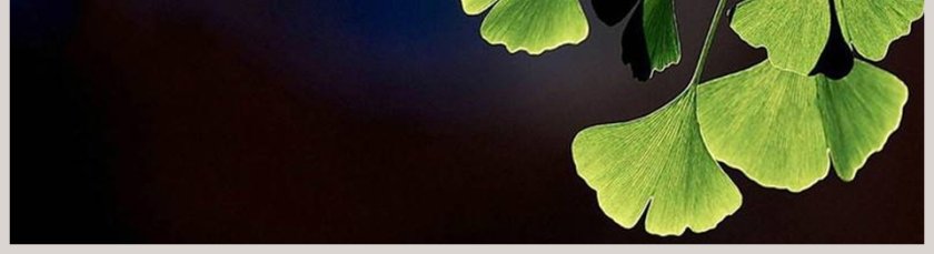 传统节气之立夏PPT模板 第5张