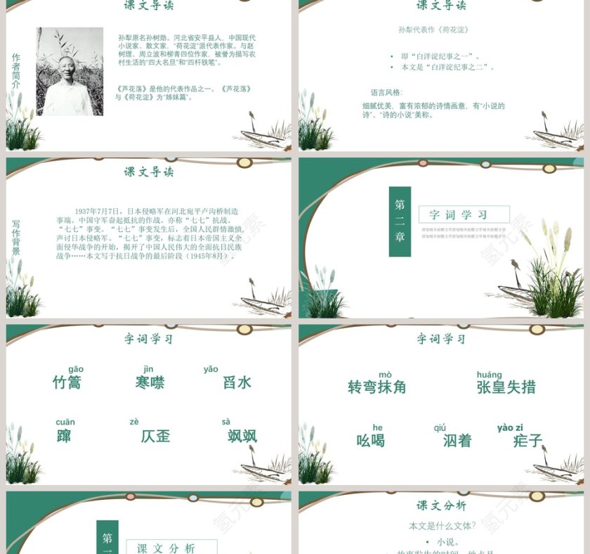 初中语文课件PPT《芦花荡 》  第2张