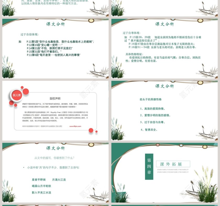 初中语文课件PPT《芦花荡 》  第4张