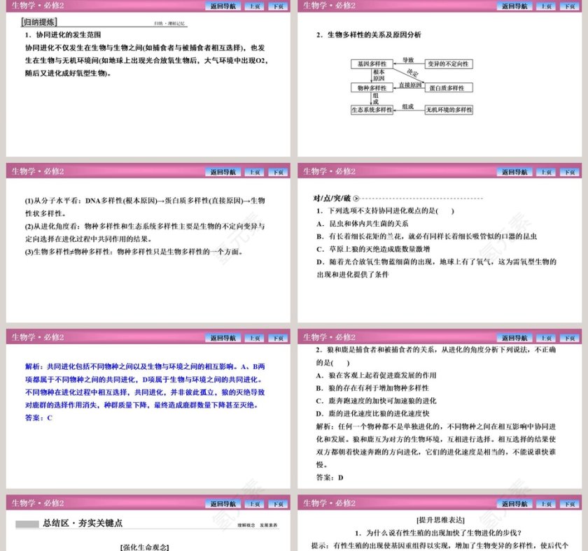 第-4教学ppt课件第5张