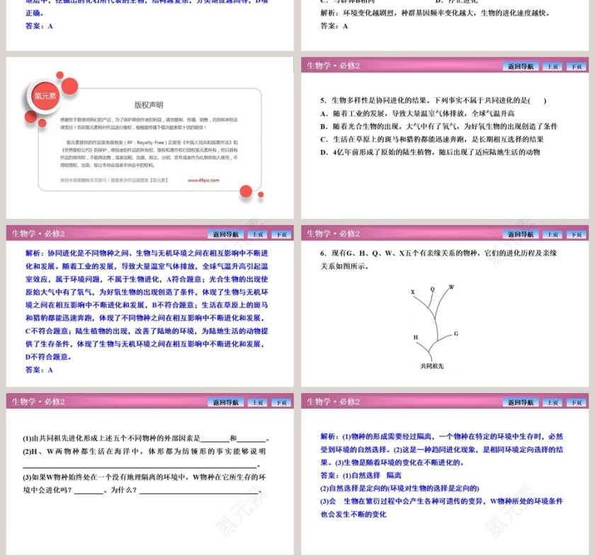 第-4教学ppt课件第7张