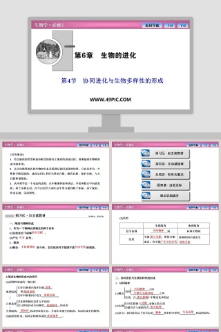 第-4教学ppt课件