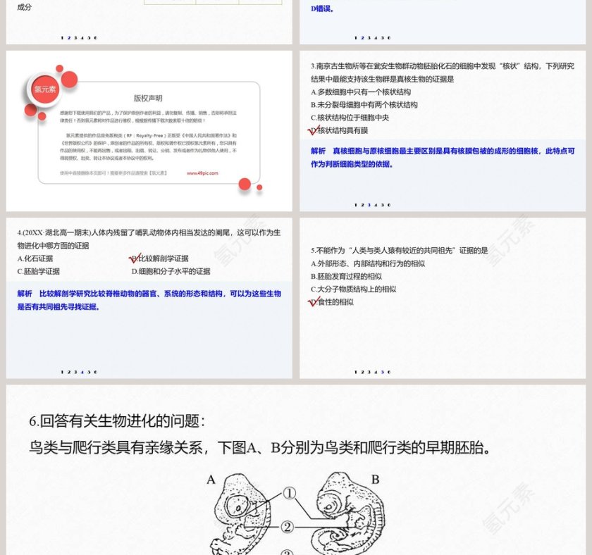 第-6教学ppt课件第4张