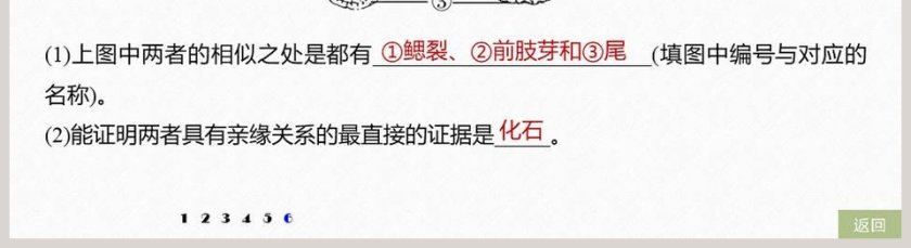 第-6教学ppt课件第5张