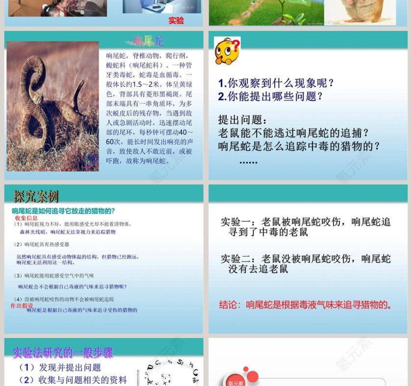 第2章 探索生命：医学护理行业PPT模板第2张