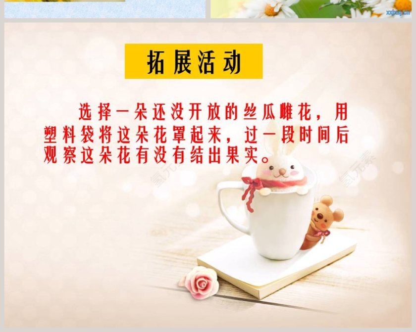 植物的花和果实教学ppt课件第6张