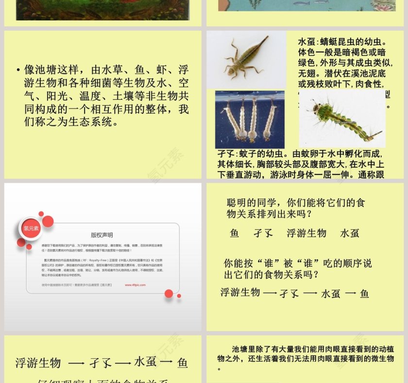 走进池塘教学ppt课件第2张