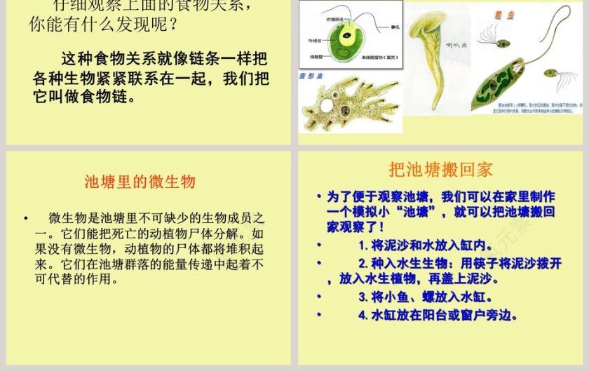 走进池塘教学ppt课件第3张