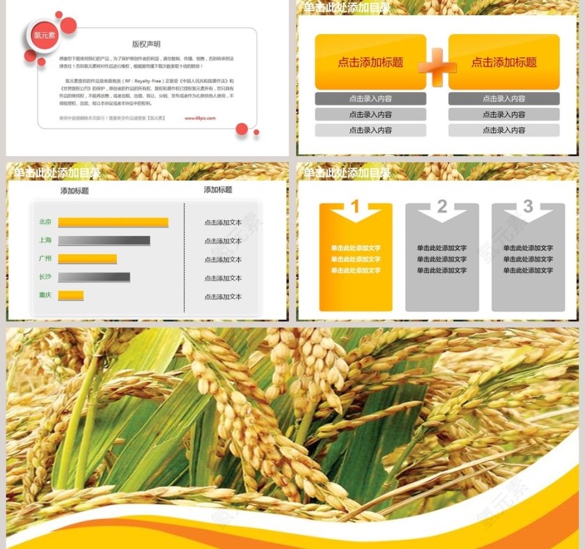 农业生产水稻播种动态PPT第5张