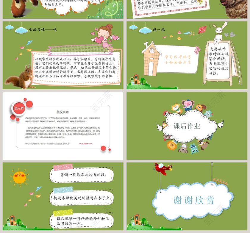 五年级语文课件PPT松鼠第4张