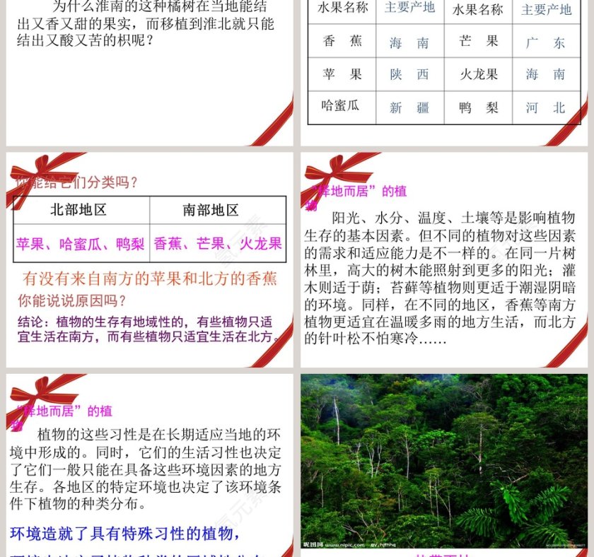 从南橘北枳说起：节假日行业PPT模板设计与创意第3张