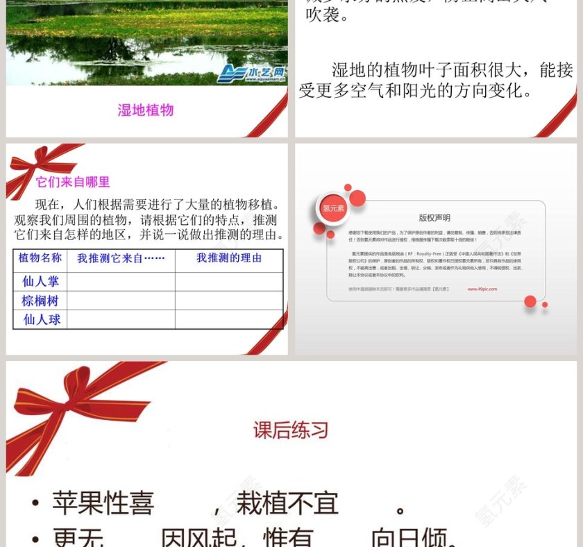 从南橘北枳说起：节假日行业PPT模板设计与创意第5张