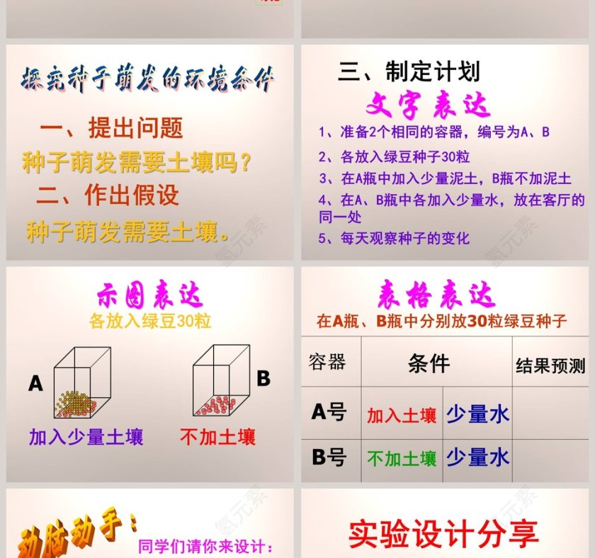 认识种子和研究种子萌发的条件在医学护理行业的PPT模板应用第2张