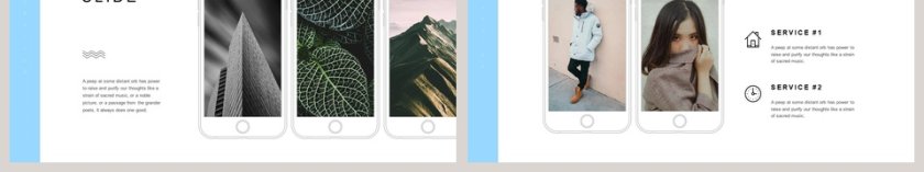 植物系文艺范PPT 第6张