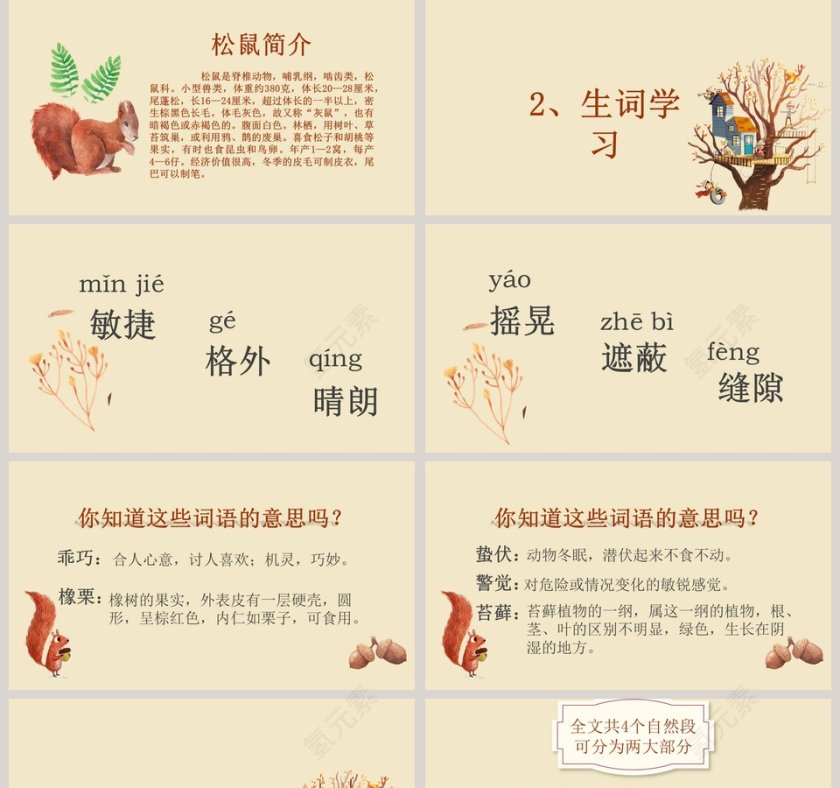 五年级语文课件PPT松鼠第2张