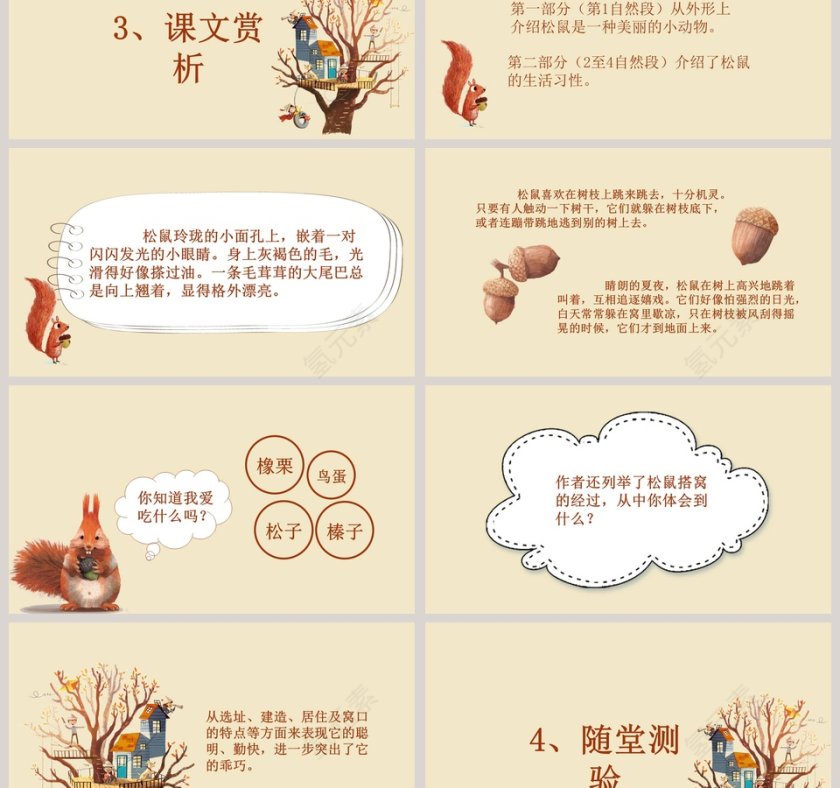 五年级语文课件PPT松鼠第3张