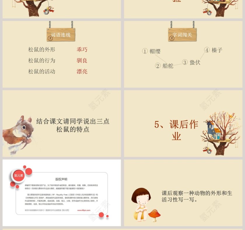 五年级语文课件PPT松鼠第4张
