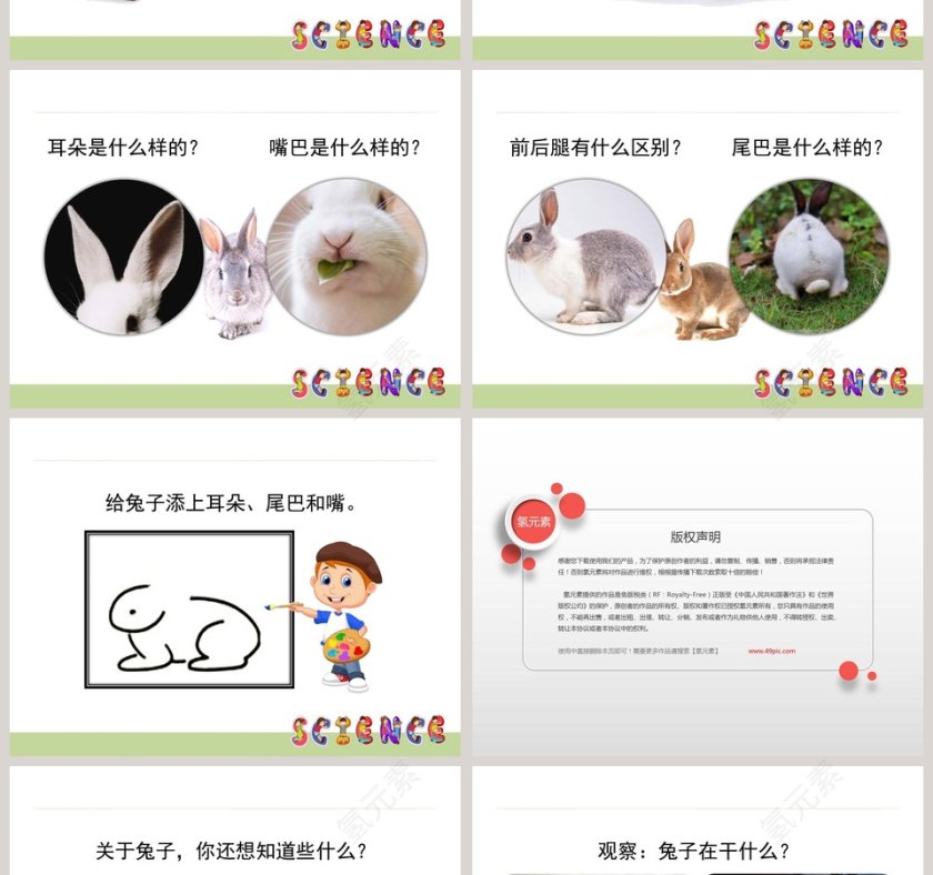 0兔子节日PPT模板大全第2张