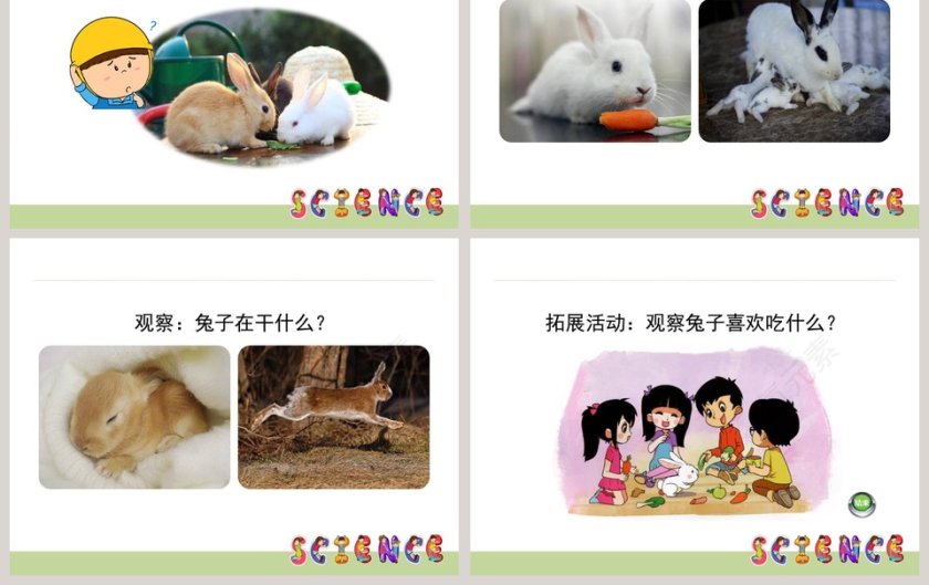 0兔子节日PPT模板大全第3张