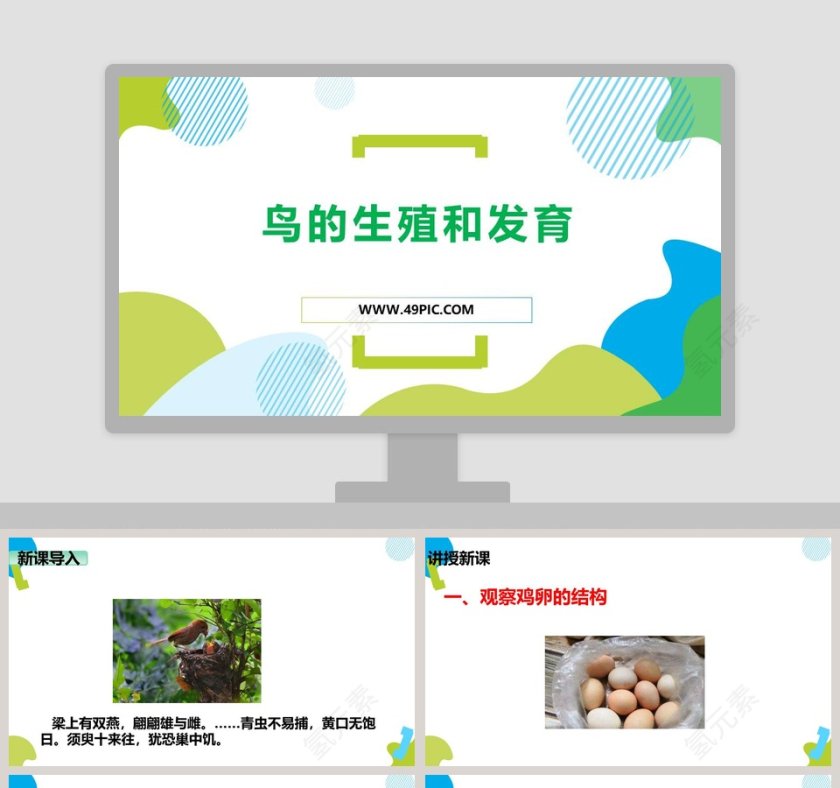 鸟的生殖和发育教学ppt课件第1张