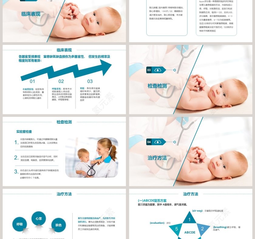 新生儿窒息复苏病理生理PPT第3张