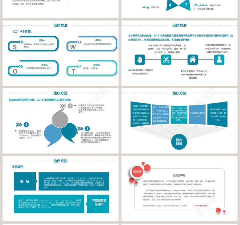 新生儿窒息复苏病理生理PPT第4张