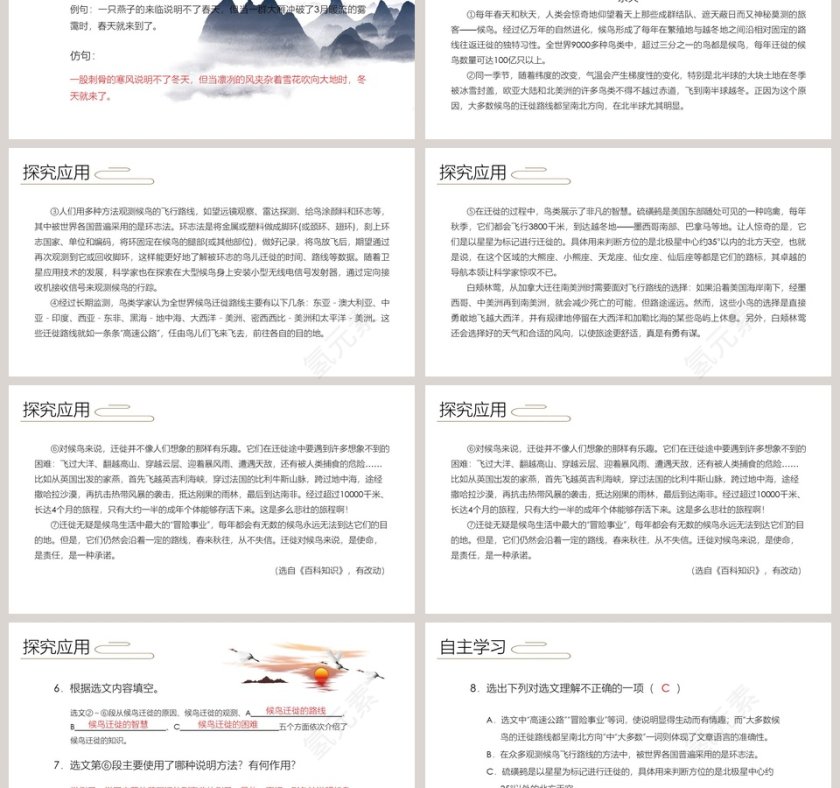 八年级语文课件《大雁归来》PPT第3张