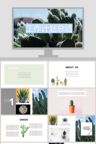 精美可爱仙人掌工作计划总结PPT