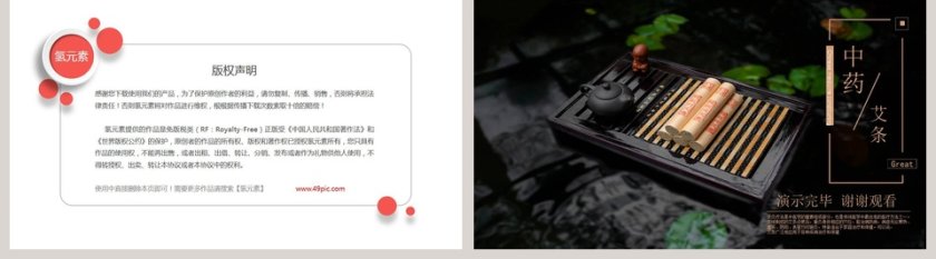 中医学艾灸疗法工作概述PPT第5张