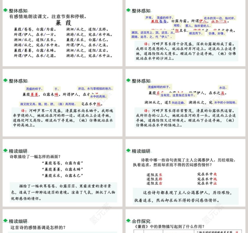 八年级语文下册诗经二首PPT课件第5张