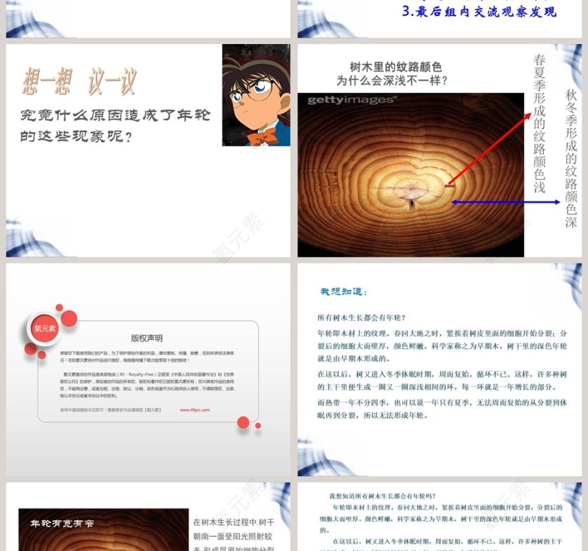 鄂教版五年级上册-树木中的纹路教学ppt课件第2张