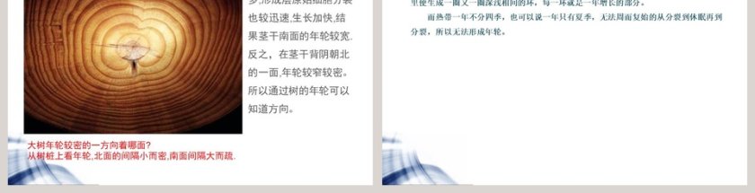 鄂教版五年级上册-树木中的纹路教学ppt课件第3张