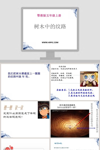 鄂教版五年级上册-树木中的纹路教学ppt课件