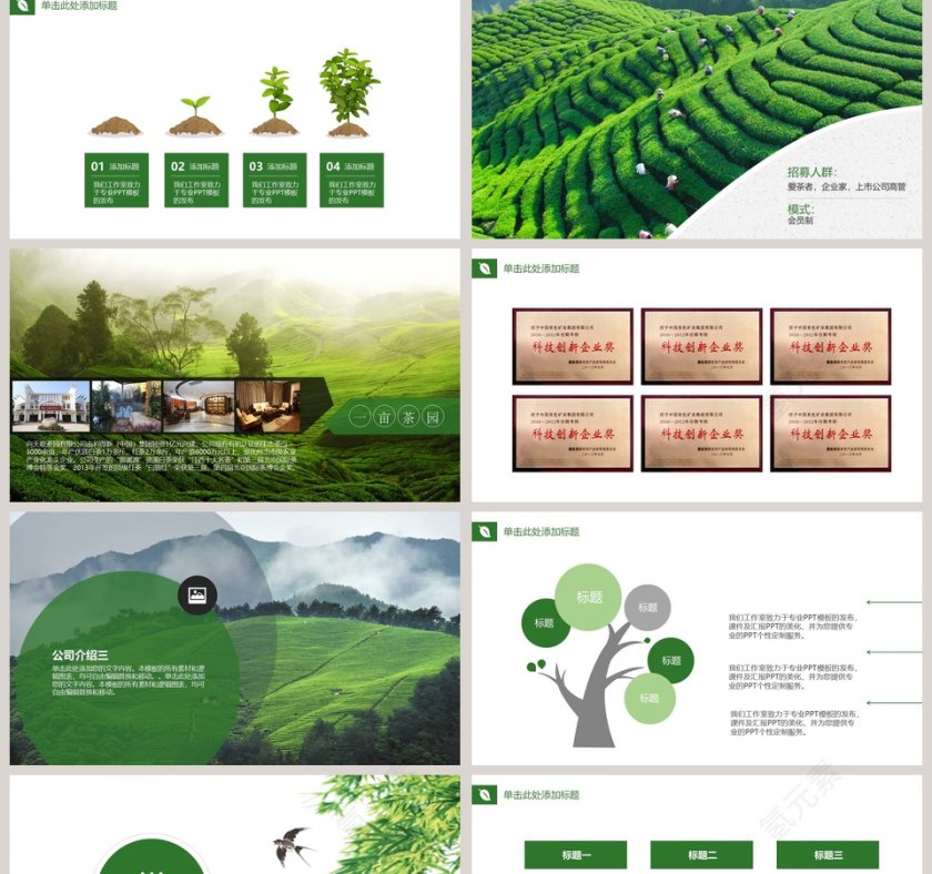绿色中国茶精致通用模板第2张