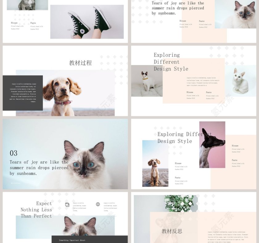 猫犬系列学术教育说课PPT模板第3张