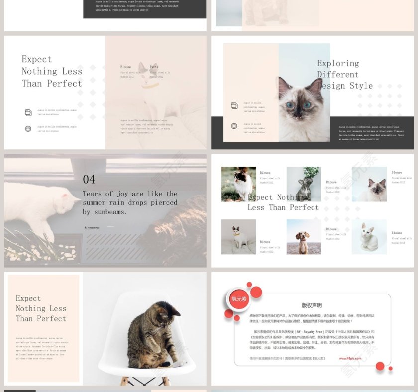 猫犬系列学术教育说课PPT模板第4张